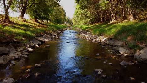 River-with-stones-and-trees-byside-cinematic-droneshot-Austria