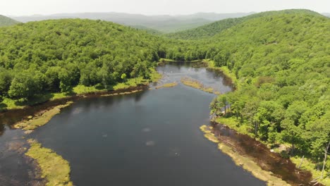 fast aerial pull back above mud lake in new york adirondacks