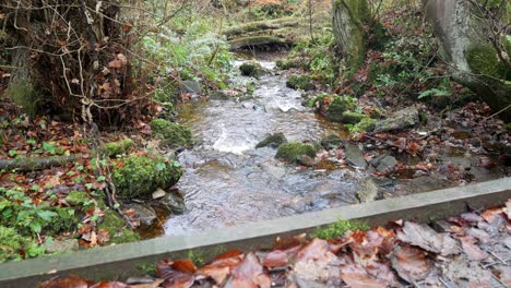 clam flowing river colourful idyllic autumn woodland lush foliage bridge view left dolly