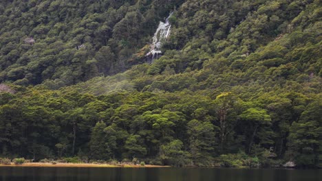 bosque lluvioso denso con tiro ancho de cascada