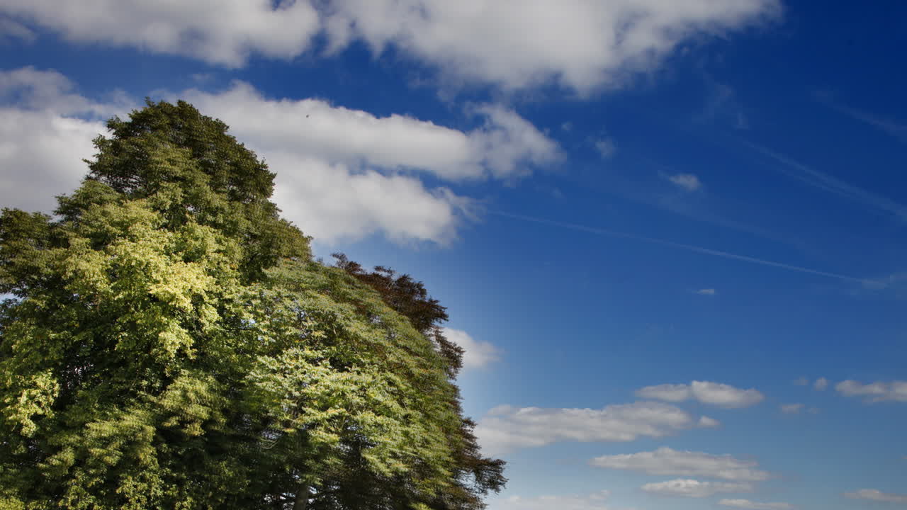 하늘 시간 경과 01