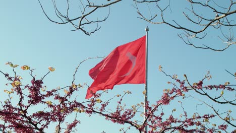 a turkey national flag waves in the breeze