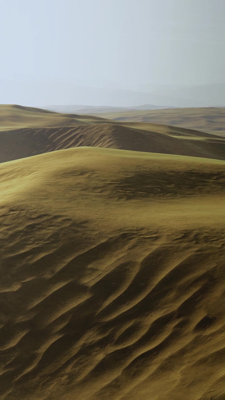 Vasto paesaggio desertico con dune dolci sotto una luce soffusa al crepuscolo.