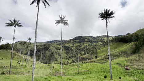 beautiful and spectacular landscapes of colombia 4