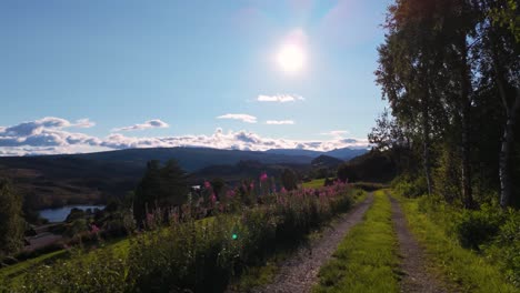 un camino sereno a través de la naturaleza exuberante con montañas en el fondo, capturado en noruega en un día soleado