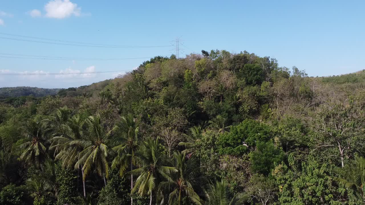 vista aérea de árboles en montañas indonesias con cielo azul