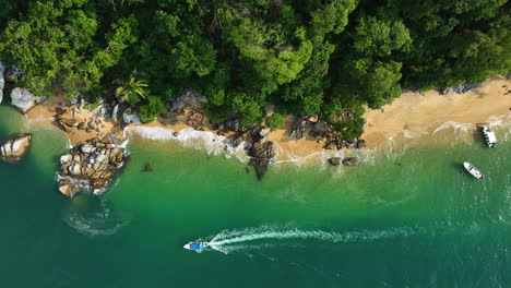 aerial view above a boat driving on the coast of tropical rainforest and jungle