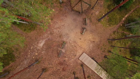aerial view of a peaceful forest resting area
