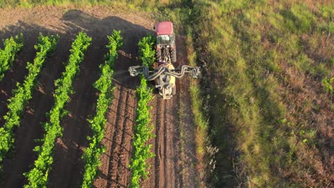 El-Uso-De-Pesticidas-Químicos-En-Los-Viñedos-Franceses-Ha-Resultado-En-Un-Nivel-Peligroso-De-Contaminación-Ambiental,-Que-Afecta-No-Solo-A-Los-Viñedos,-Sino-También-A-Los-Ecosistemas-Circundantes