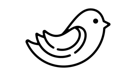 gráfico de movimiento de línea de pájaro