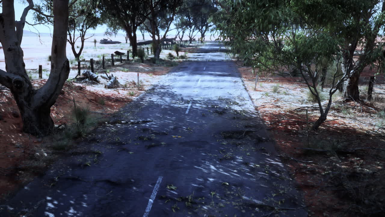 오스트레일리아 외의 황폐한 도로