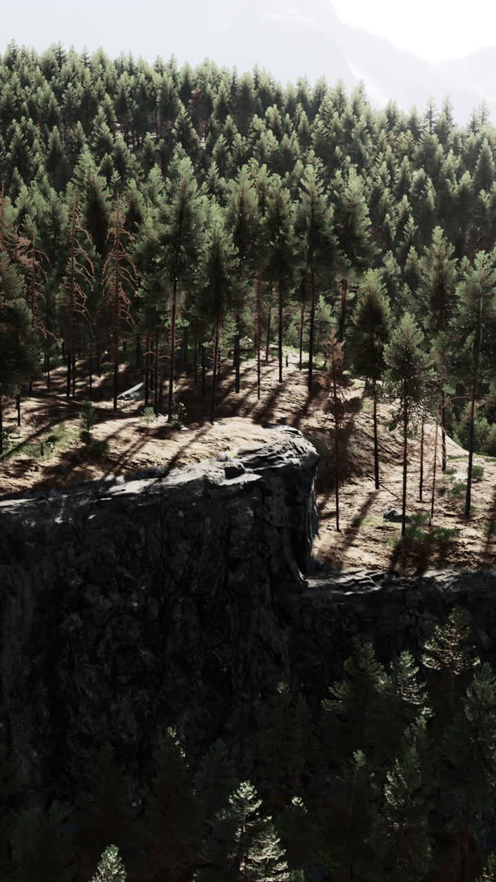 bosque en un acantilado de montaña