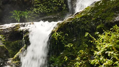 tilt up shot of idyllic waterfall in mossy forest during sunny day flowing downhill - kauri coast,new zealand