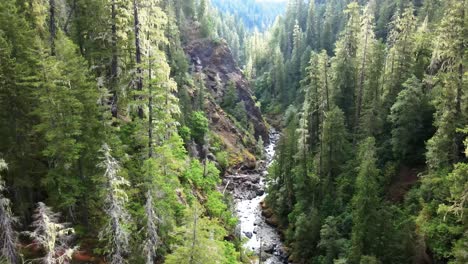 Tall-picturesque-evergreens-stand-on-the-steep-cliff-banks-of-a-boulder-strewn-forest-creek,-aerial