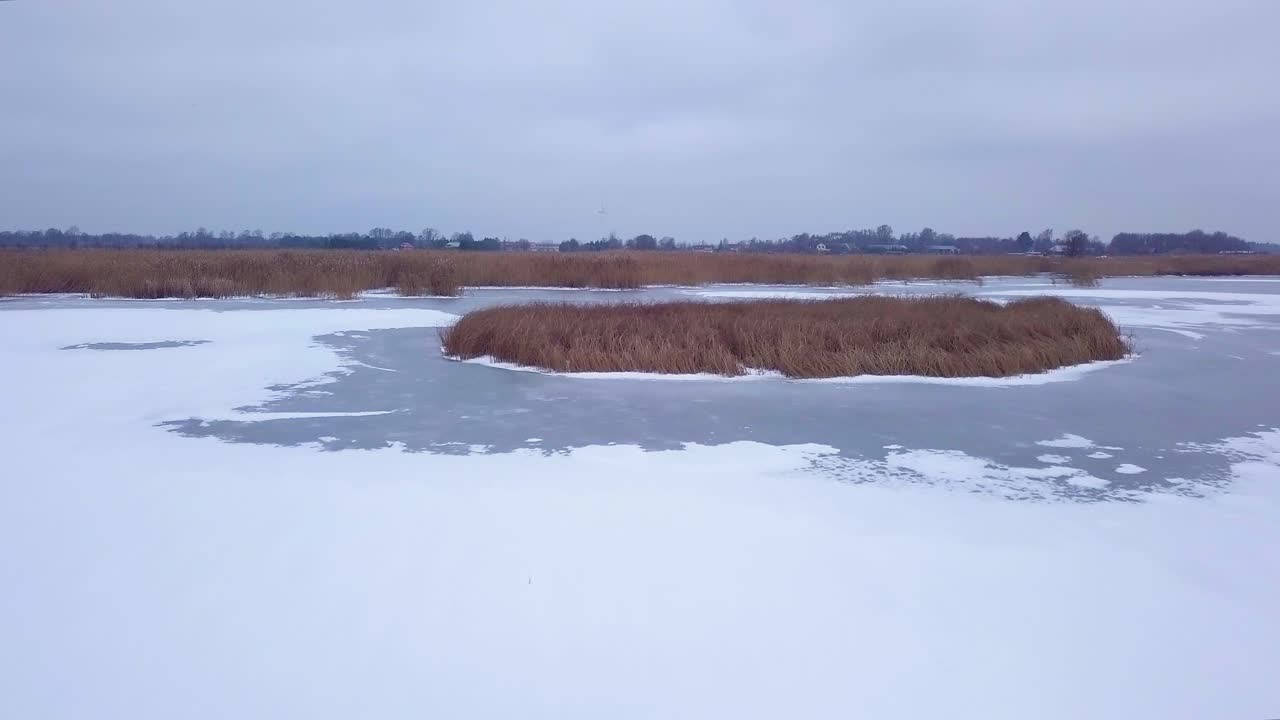 воздушная съемка замерзшего озера лиепая зимой, голубой лед с трещинами, сухие пожелтевшие островки камыша, пасмурный зимний день, широкий восходящий кадр с дрона, движущийся вперед