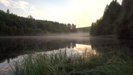 una toma amplia de un hermoso amanecer de verano sobre un lago arbolado brumoso