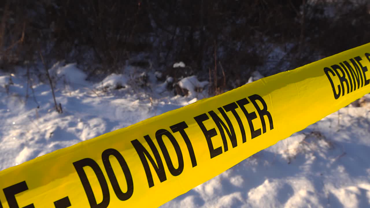 Close up backward glide along sunlit forensic tape in focus with shallow depth of field, revealing snowy ground and dark bushes. Isolated crime scene investigation atmosphere, sunny winter weather