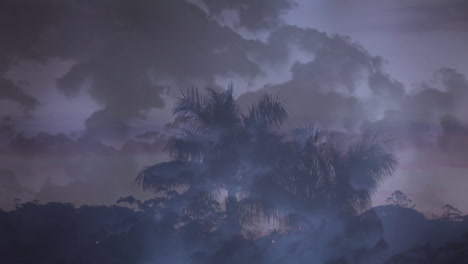 silueta de árboles y el cielo con nubes oscuras y relámpagos