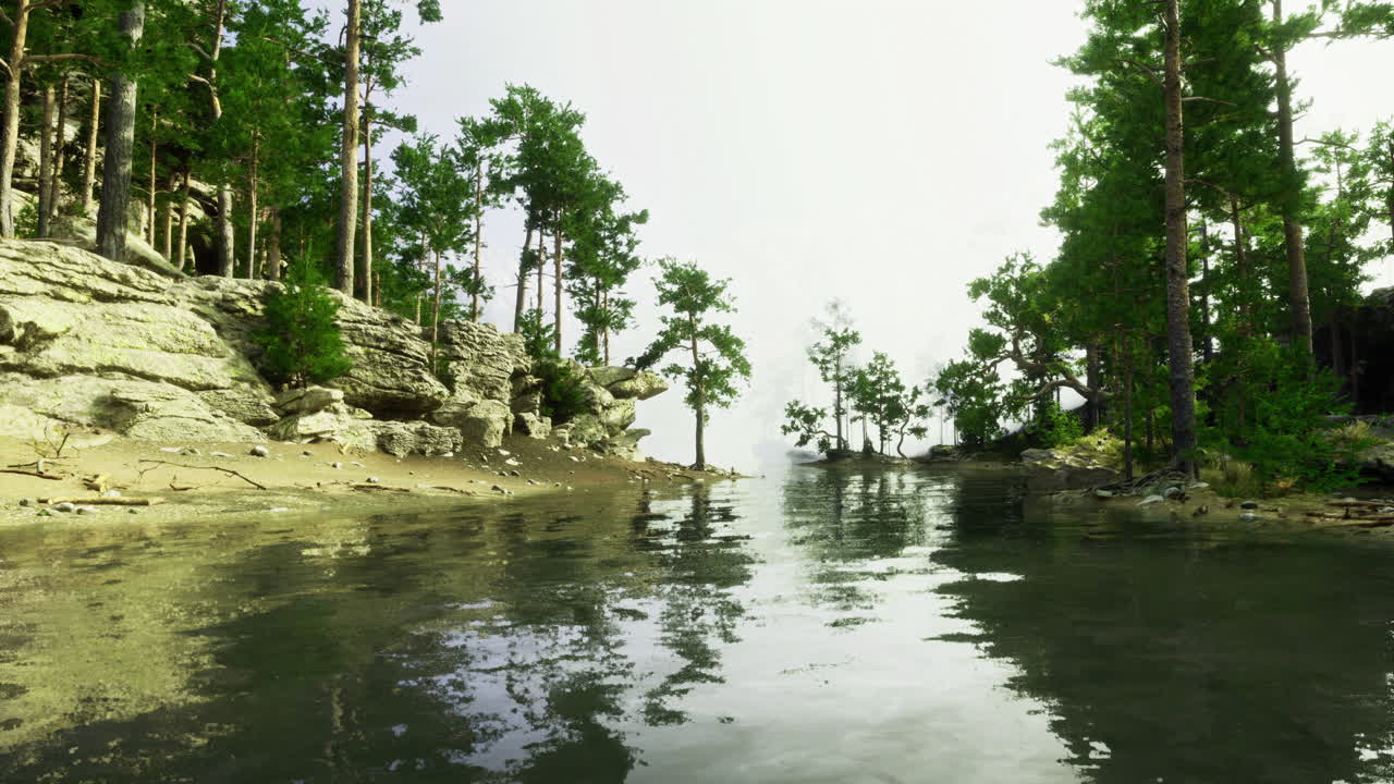 Serene lakeside view with reflections and lush green trees at dawn