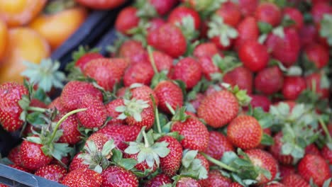 fresh strawberries