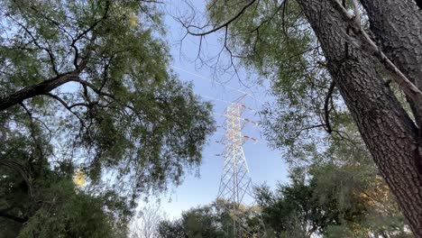 high voltage power line in forest area, view from bellow