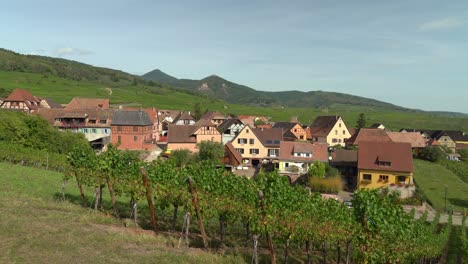 este pueblo productor de vino hunawihr está compuesto por casas de viticultores bien establecidas, con pequeños patios estrechos que se abren a la calle, que datan en su mayoría de los siglos xvi-xviii