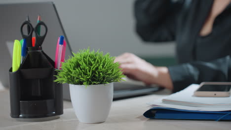 close up of woman typing on laptop in bright workspace, pauses to reach for coffee then drops hand and continues working, surrounded by colorful office supplies and indoor plant