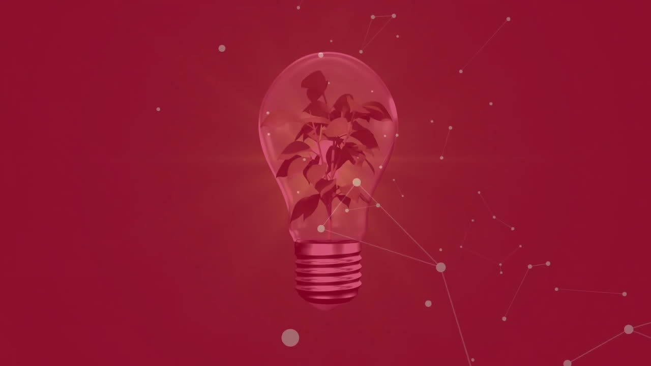 Growing plant inside light bulb with network connections on red background