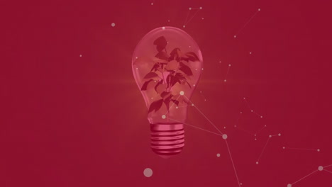 growing plant inside light bulb with network connections on red background