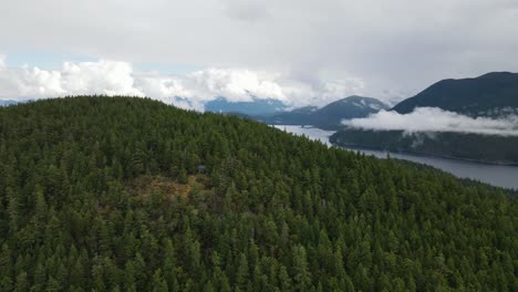 Dense,-lush-forest-covering-the-mountains-and-valleys-surrounding-the-Powell-River-on-the-Sunshine-Coast-trail-in-British-Columbia,-Canada