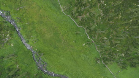 Aerial-View-of-Serene-River-Forest