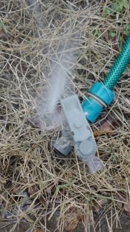 garden sprinkler watering dry grass