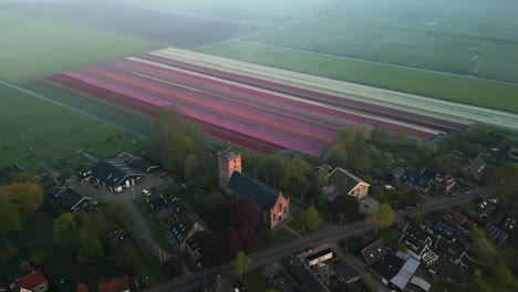 Vista-Aérea-De-Coloridos-Campos-De-Tulipanes-En-La-Ciudad-Rural-De-Aartswoud-Con-Iglesia,-Países-Bajos