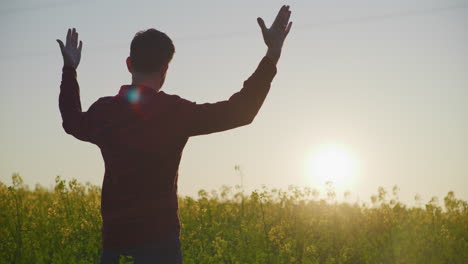 happy farmer with raised hands in rapeseed field