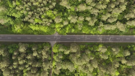 Toma-Aérea-Vertical-Ascendente-De-La-Carretera-Asfaltada-Recta-En-Medio-Del-Bosque-En-Verano