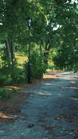 park pathway with streetlights