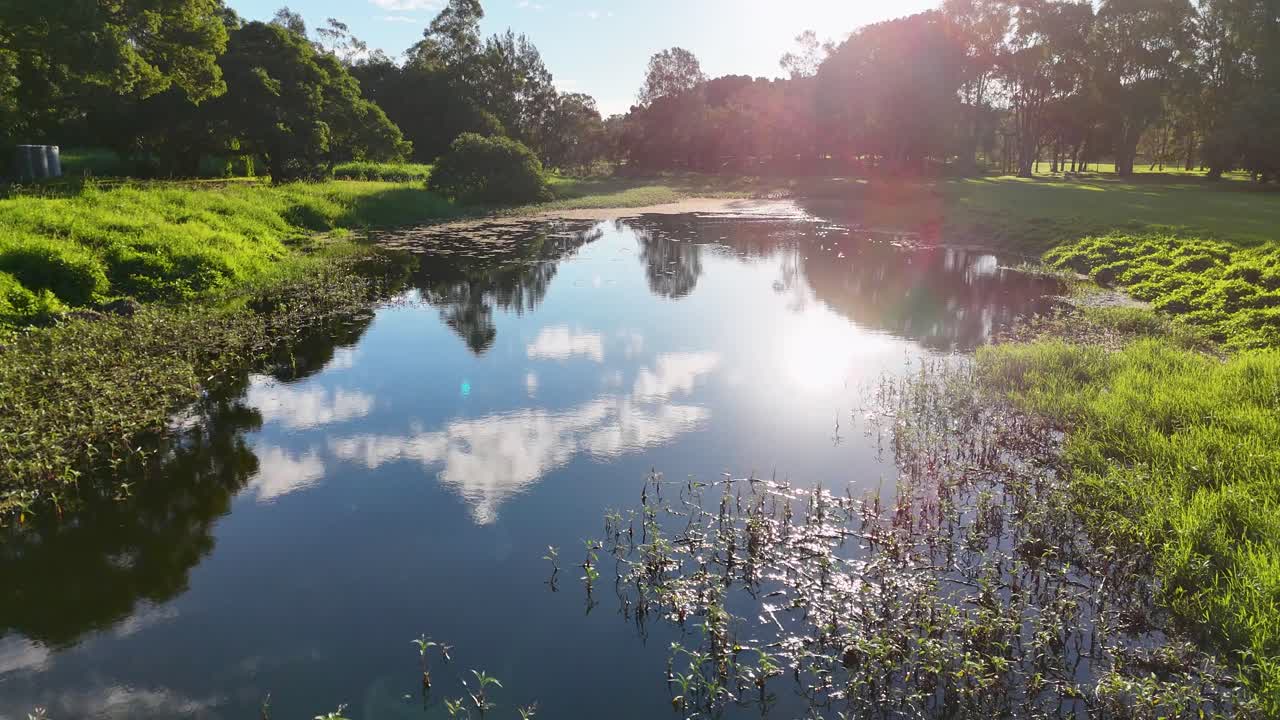 Serene wetlands with sunlit reflections, lush greenery, and calm waters during golden hour in Gold Coast, Australia