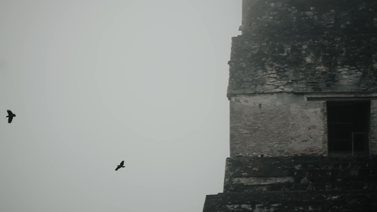 Two birds glide through the misty sky near the ancient stone temple in the Mayan city of Tikal, Guatemala.