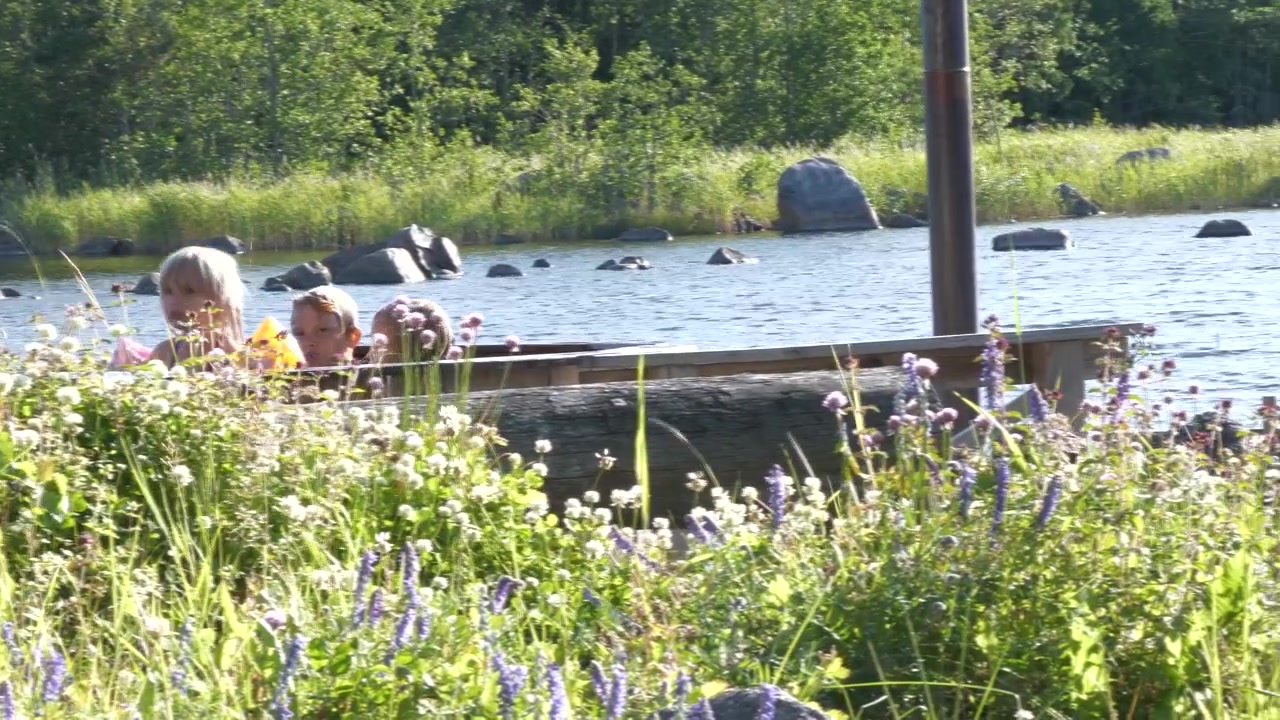 Children playing in outdoor bathtub by the sea, summer flowers flourishing in the foreground, idyllic Scandinavia, REALTIME slow pan, Ready for grading