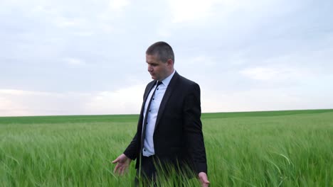 businessman in a green field