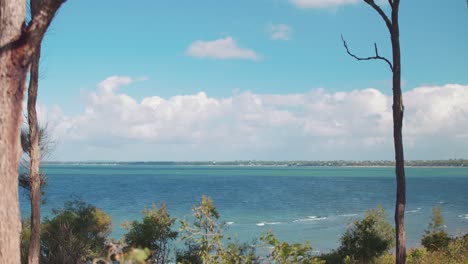 A-gorgeous,-tropical-blue-ocean-sits-behind-a-small-land-of-bush-and-trees,-being-hugged-by-land-off-in-the-distance-under-a-beautiful,-sunny-sky-filled-with-white,-fluffy-clouds