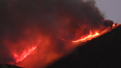 Großes-Und-Unkontrollierbares-Feuer-Im-Wald-Auf-Silhouette