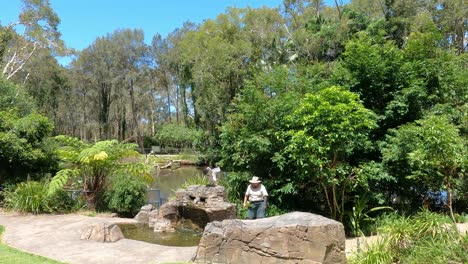 people enjoying a sunny day in a scenic park