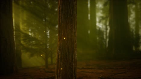Glühwürmchen-Im-Nebligen-Wald-Mit-Nebel