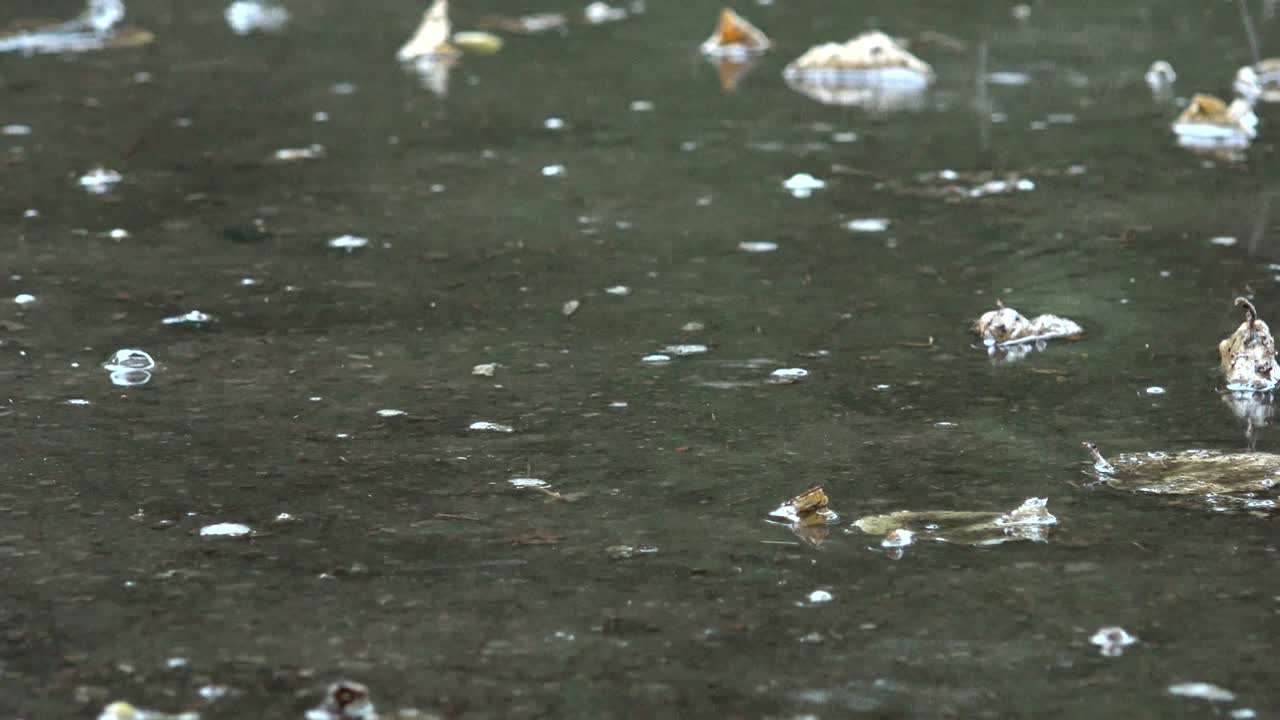 웅이의 물과 비가 큰 공기 거품을 형성하고 폭발합니다.