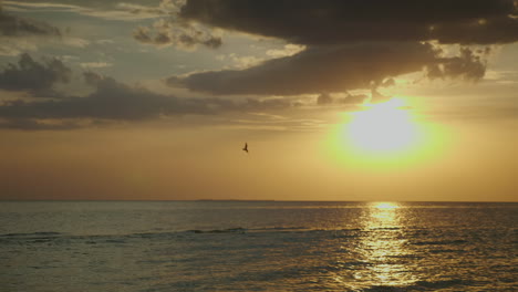 puesta de sol sobre el mar las gaviotas vuelan contra el fondo del disco solar hd video de 10 bits