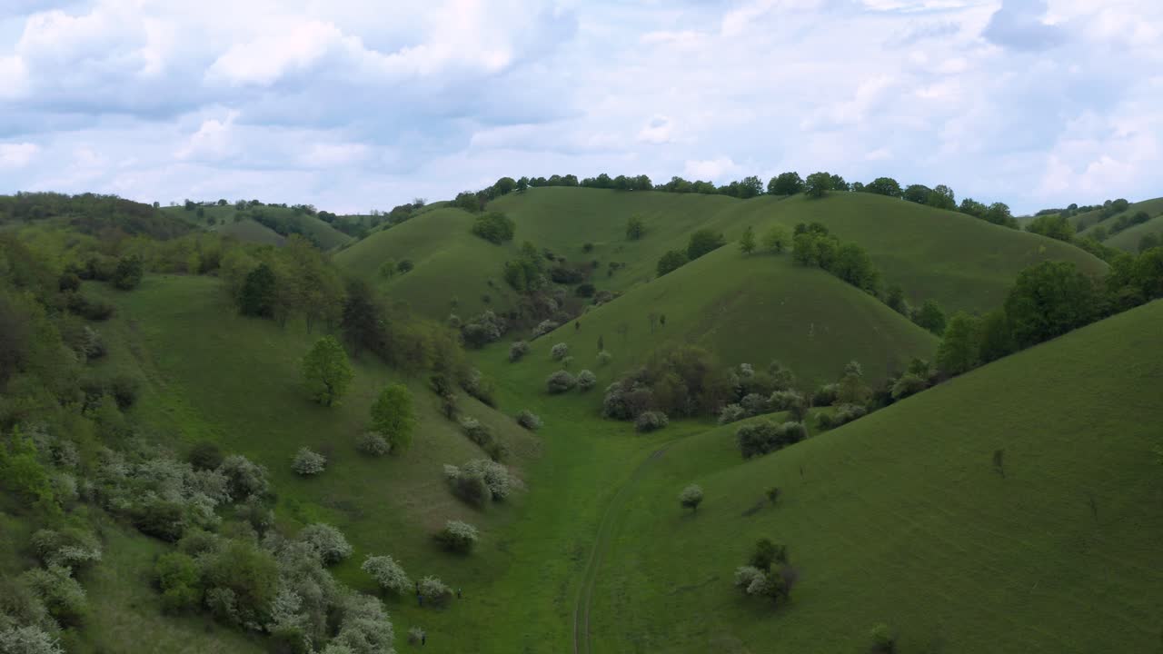 arenas deliblato onduladas colinas verdes en pescara, serbia, vista aérea de 4k