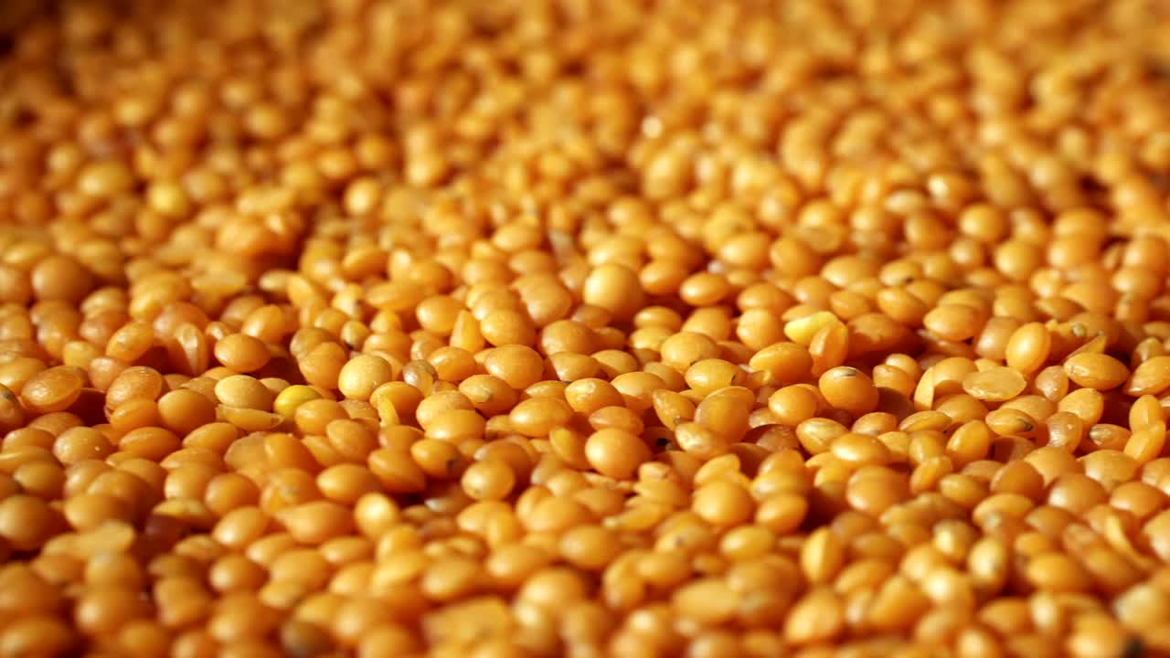 렌즈는 돌아갑니다.