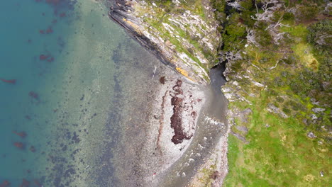 video a vista de pájaro de un dron de la desembocadura de un río en ushuaia patagónica argentina