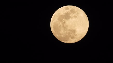 Beautiful-moon---close-up-